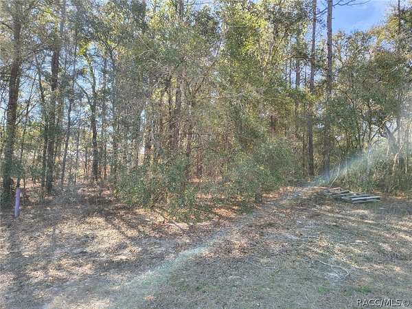 0.26 Acres of Residential Land for Sale in Citrus Springs, Florida