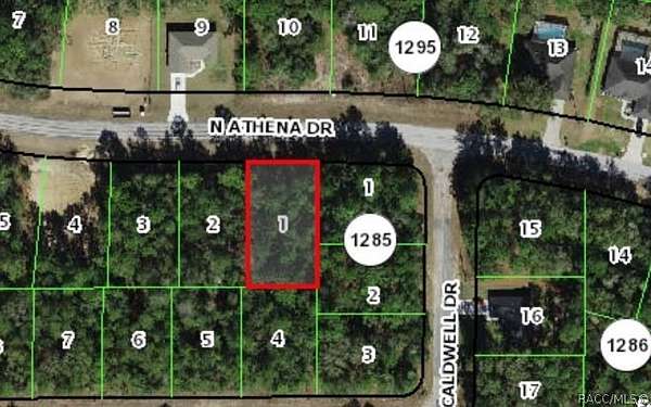 0.26 Acres of Residential Land for Sale in Citrus Springs, Florida