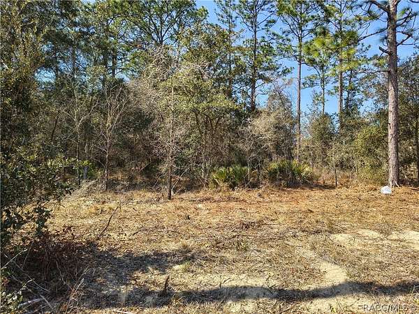 0.23 Acres of Residential Land for Sale in Citrus Springs, Florida