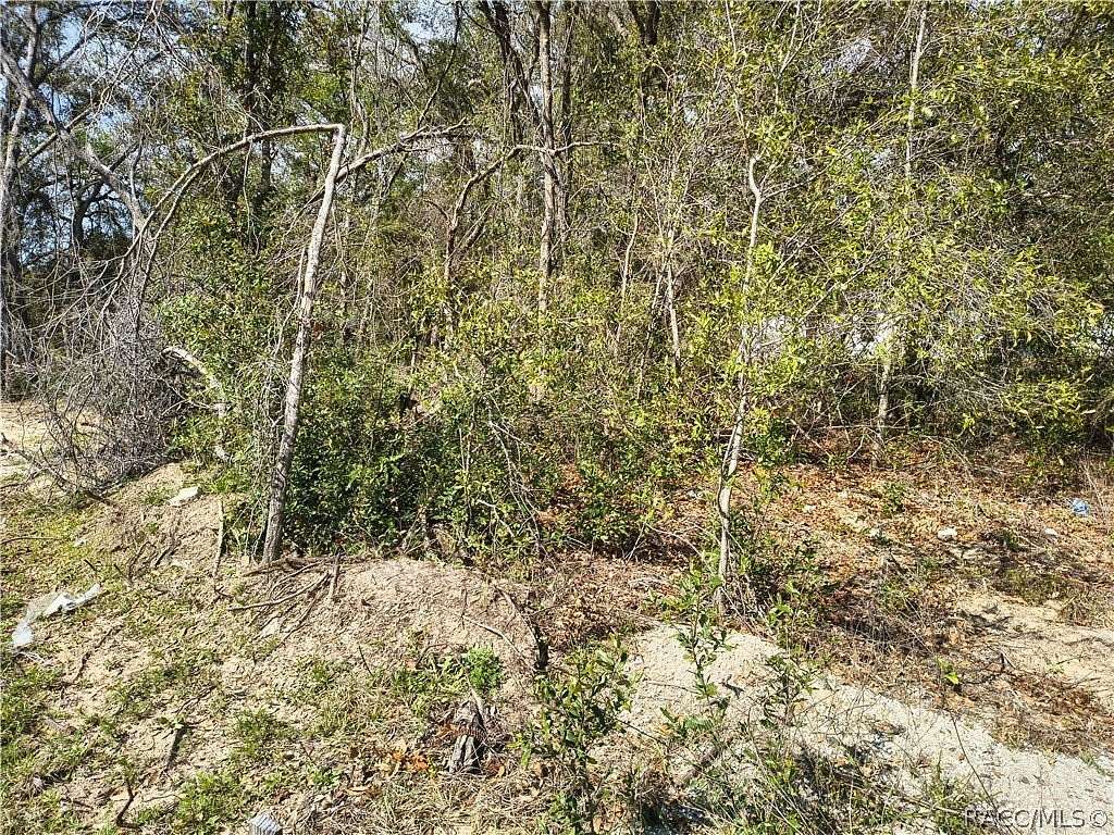 0.23 Acres of Residential Land for Sale in Citrus Springs, Florida