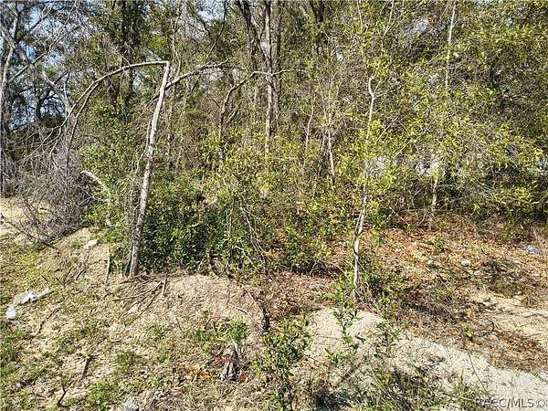 0.23 Acres of Residential Land for Sale in Citrus Springs, Florida