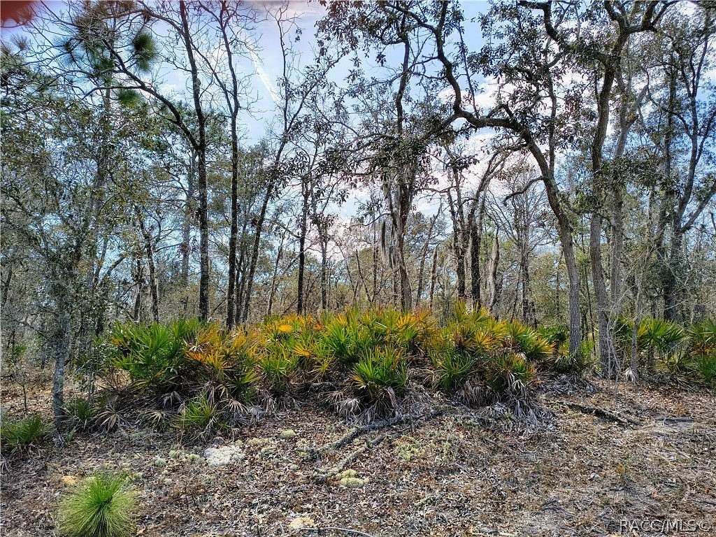 0.23 Acres of Residential Land for Sale in Dunnellon, Florida