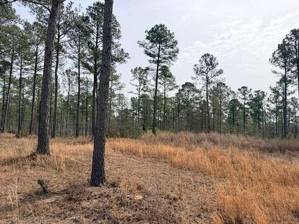 7 Acres of Land for Sale in Aiken, South Carolina