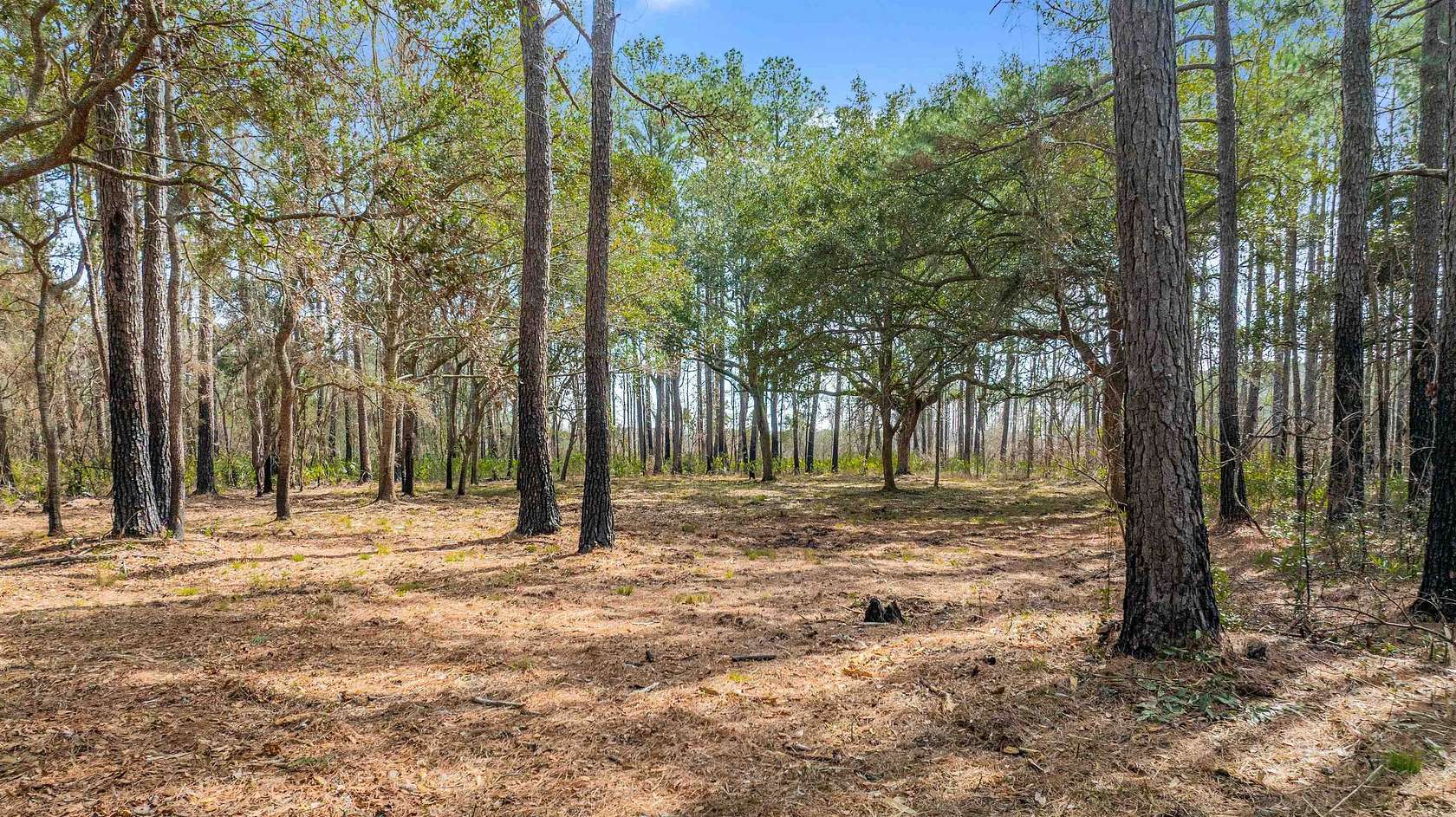 3.16 Acres of Residential Land for Sale in Pawleys Island, South Carolina