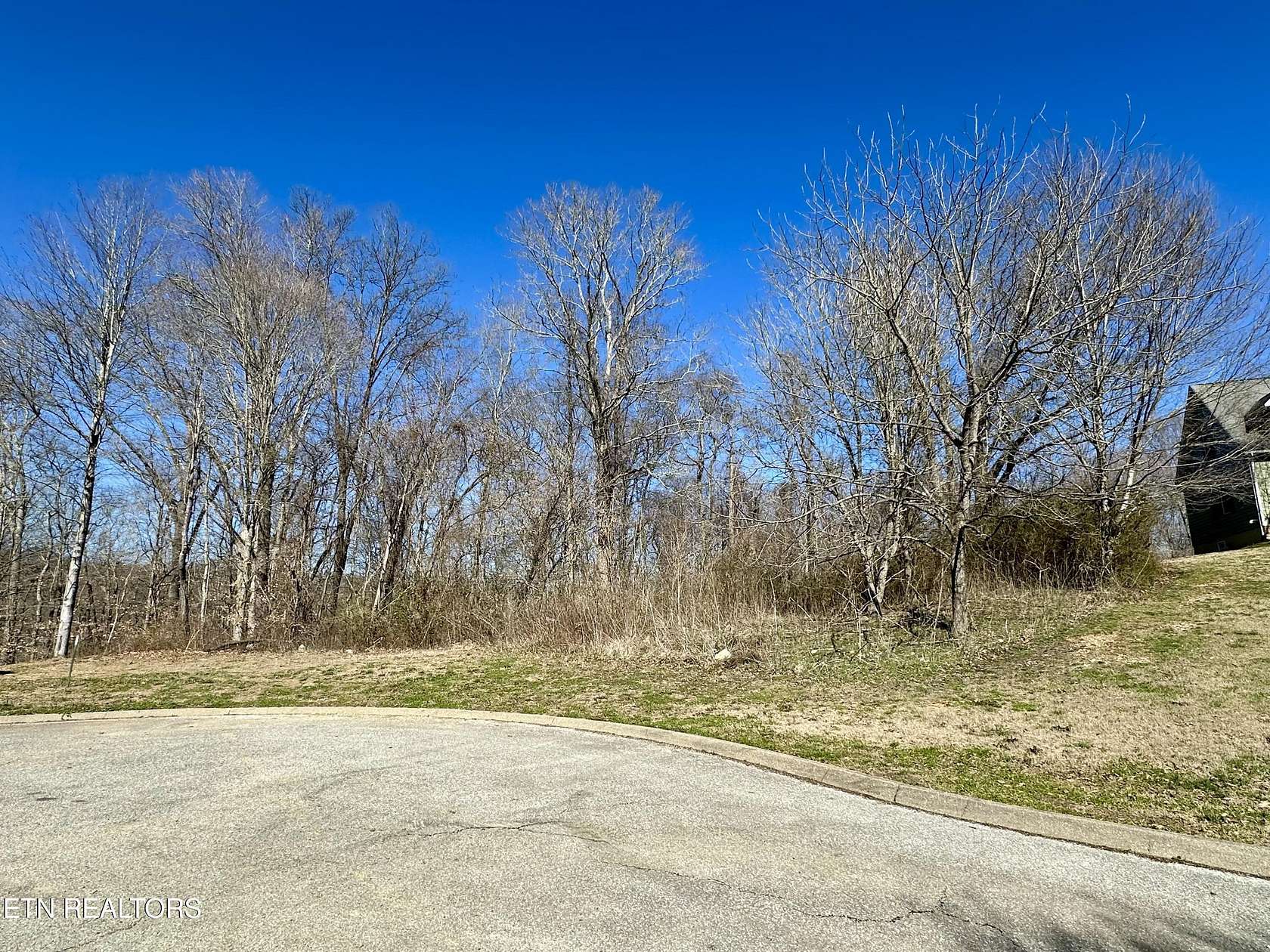 1 Acre of Residential Land for Sale in Andersonville, Tennessee