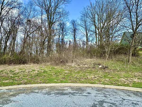 1 Acre of Residential Land for Sale in Andersonville, Tennessee