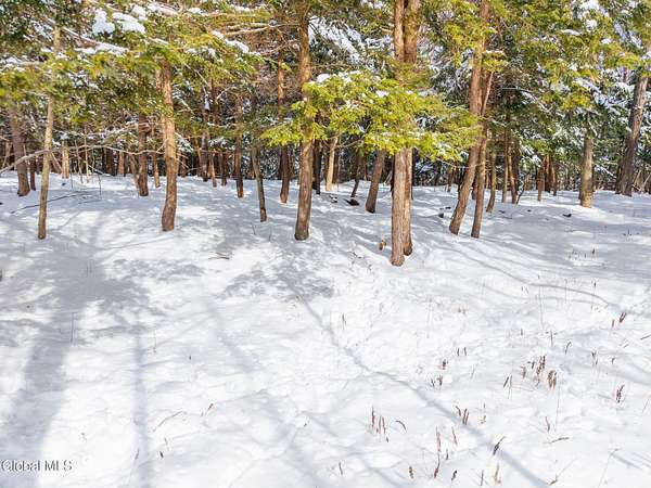 30 Acres of Land for Sale in Sloansville, New York