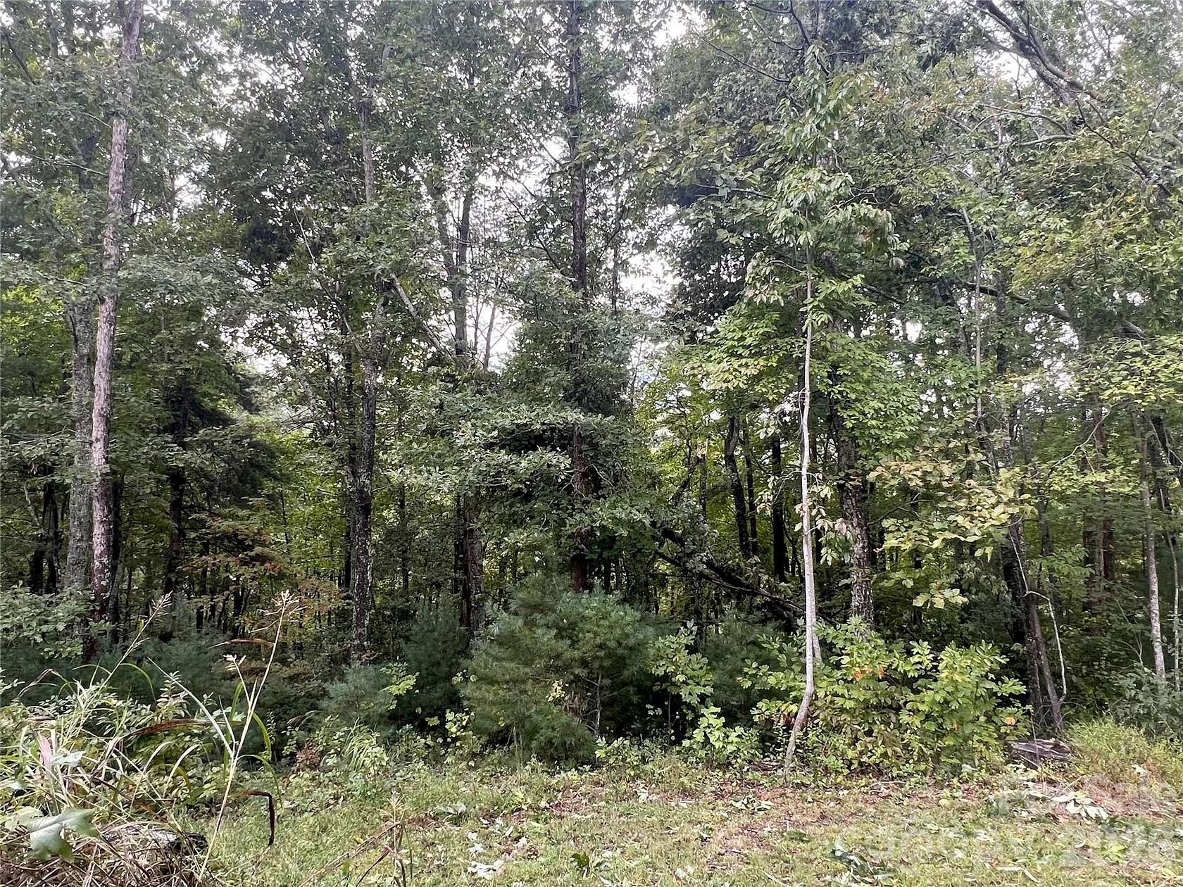 1 Acre of Residential Land for Sale in Asheville, North Carolina
