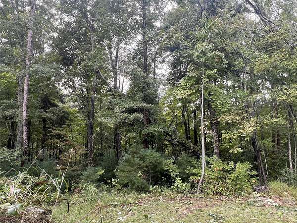 1 Acre of Residential Land for Sale in Asheville, North Carolina
