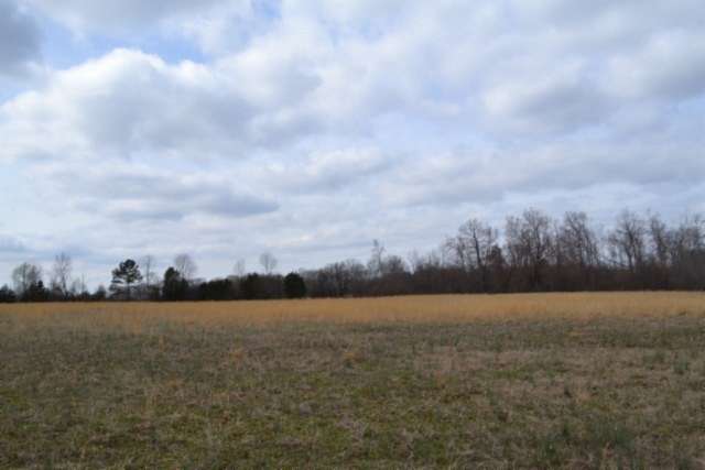 5 Acres of Land for Sale in Smithville, Tennessee