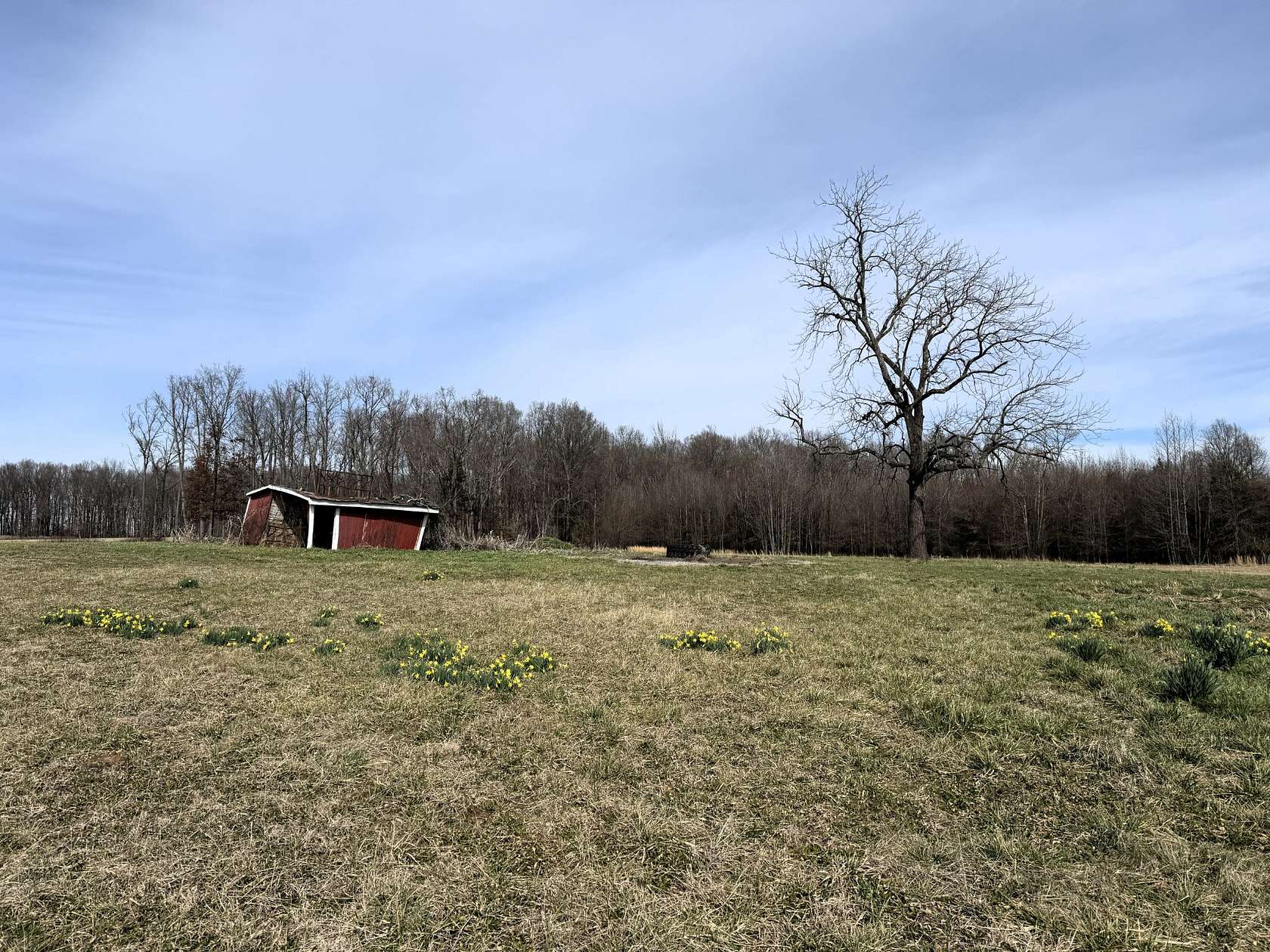 8.21 Acres of Land for Auction in Morrison, Tennessee
