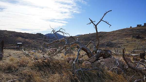 1.85 Acres of Land for Sale in Livermore, Colorado