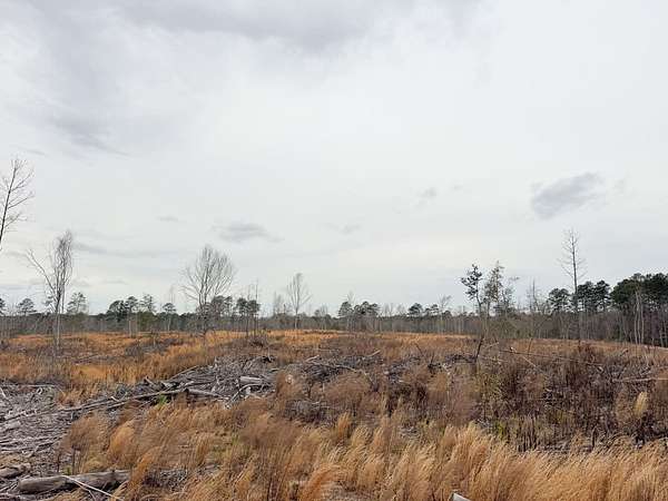 40 Acres of Recreational Land for Auction in Camden, Arkansas
