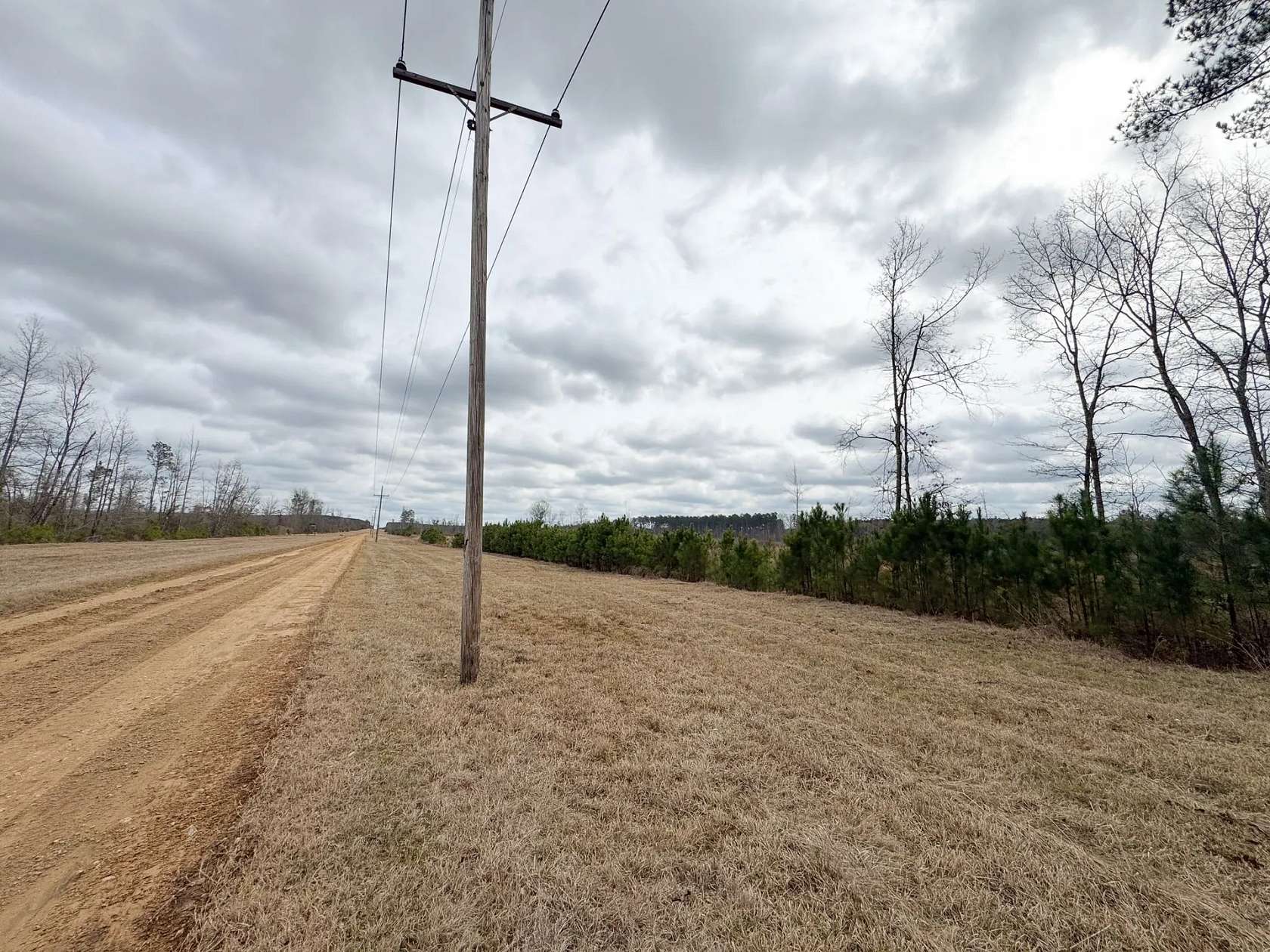 79.3 Acres of Recreational Land for Sale in Magnolia, Arkansas