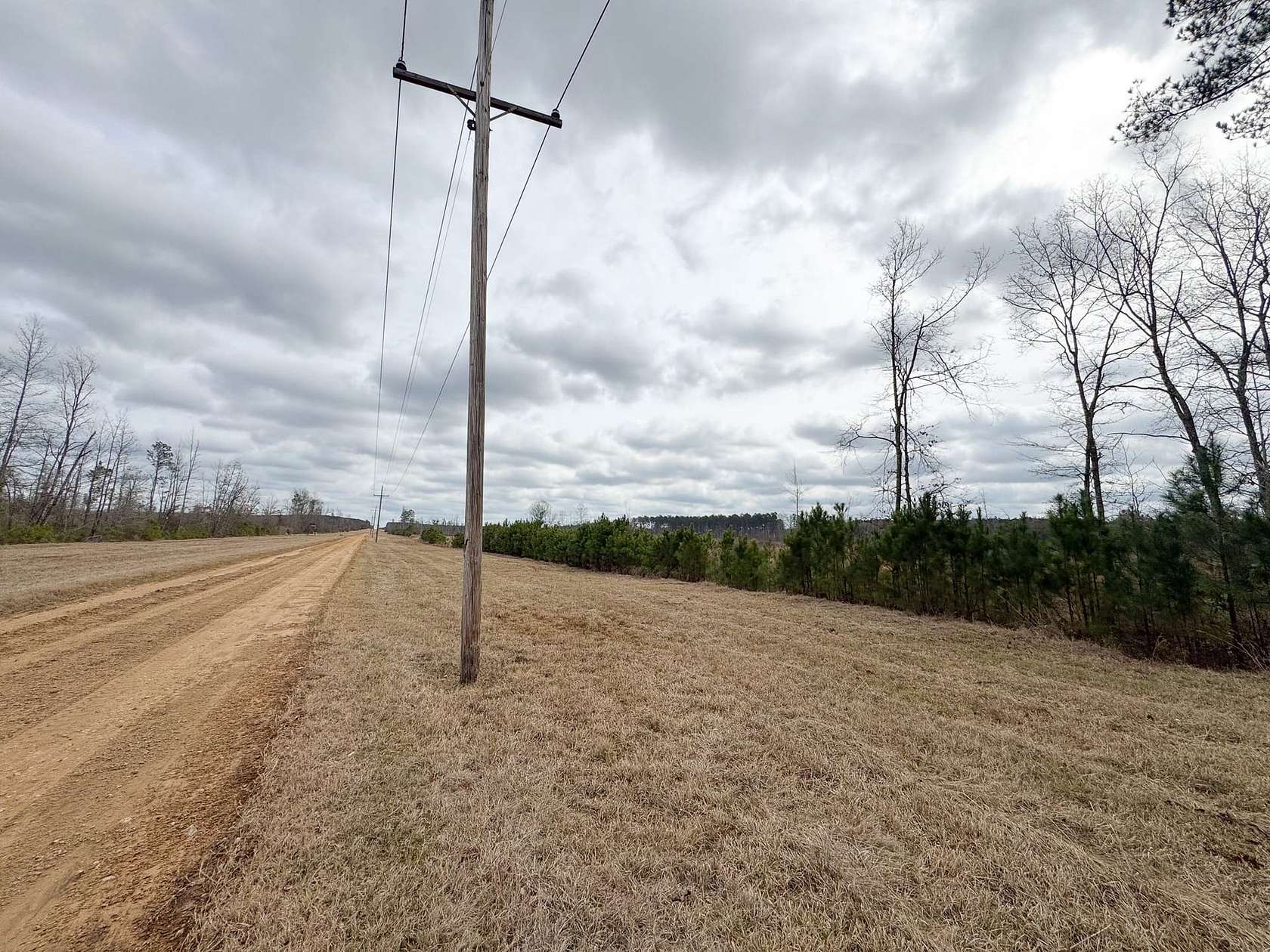 79.3 Acres of Recreational Land for Auction in Magnolia, Arkansas