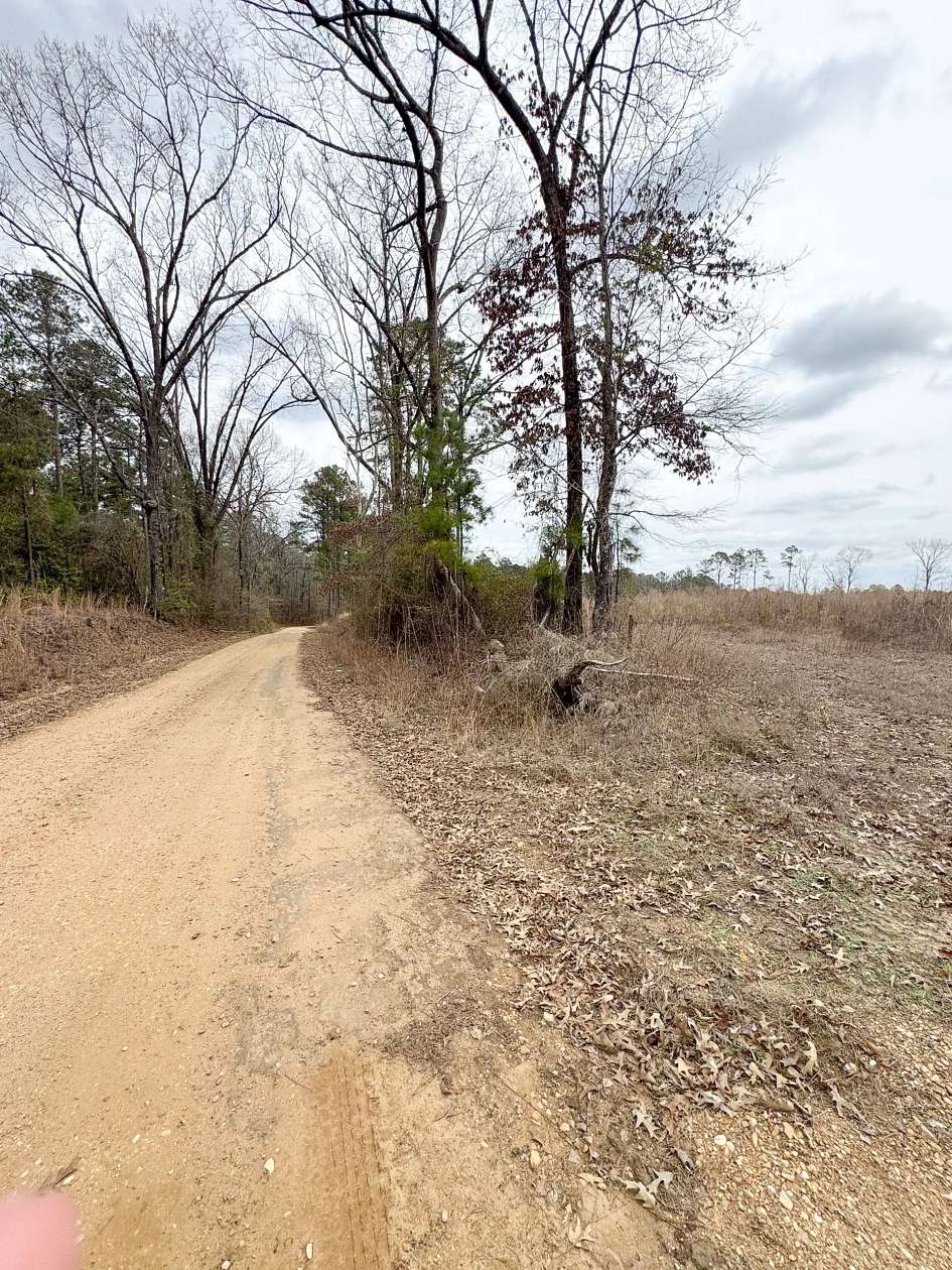 125 Acres of Recreational Land for Sale in Stephens, Arkansas