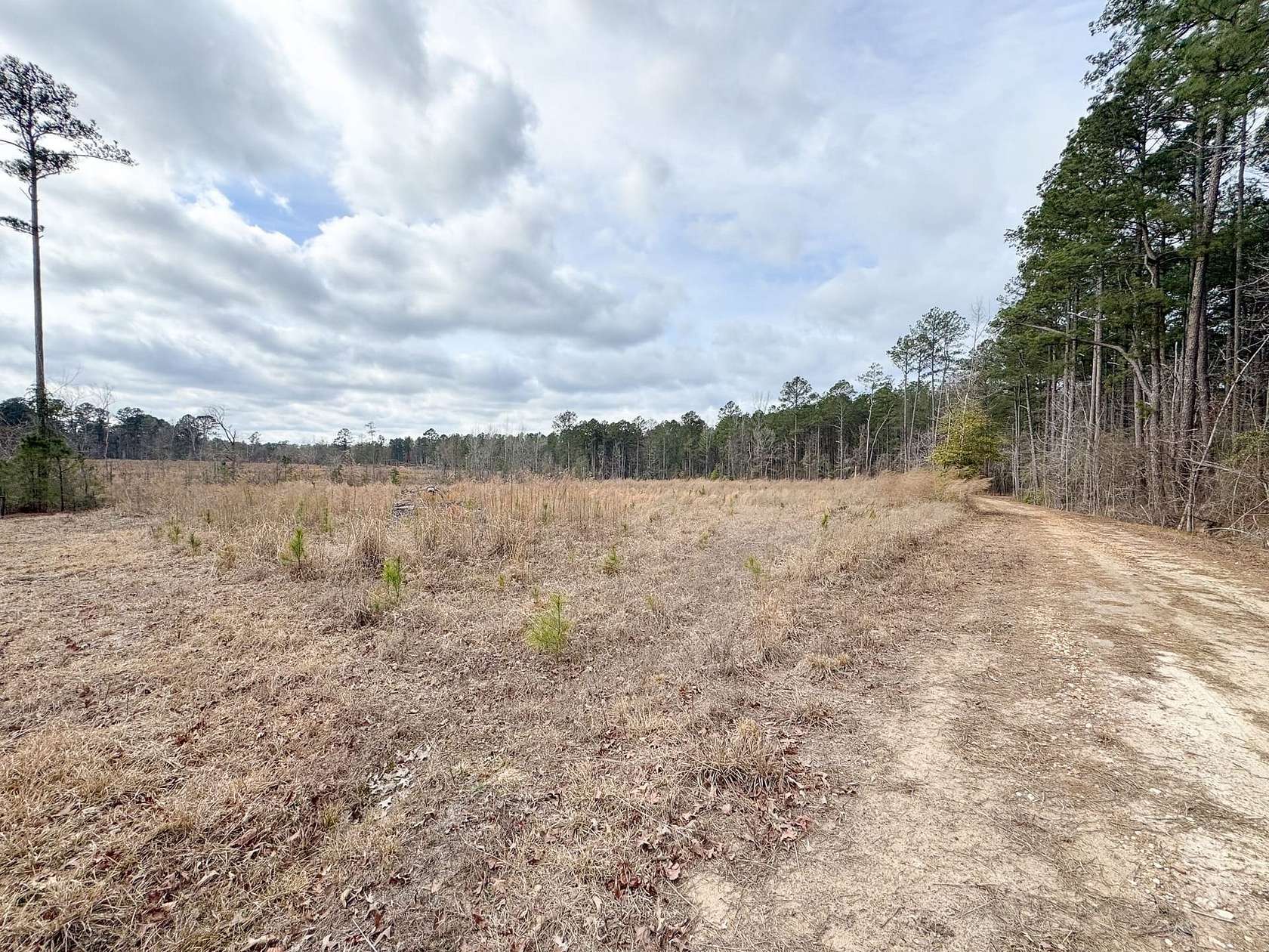 50 Acres of Recreational Land for Auction in Stephens, Arkansas