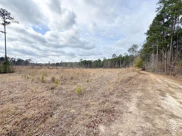 50 Acres of Recreational Land for Auction in Stephens, Arkansas