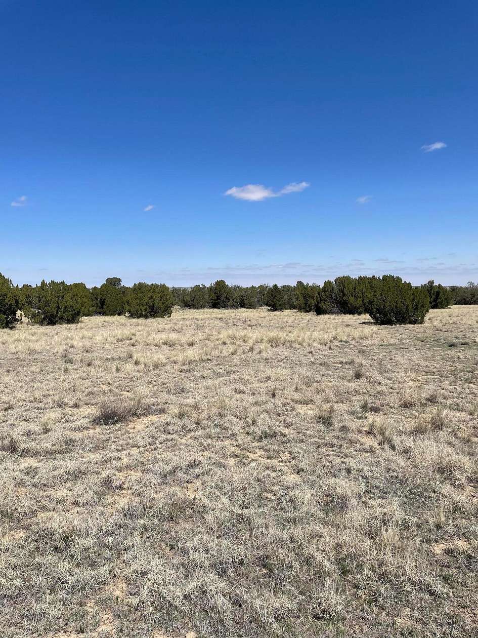 40 Acres of Land for Sale in Tyrone, Colorado