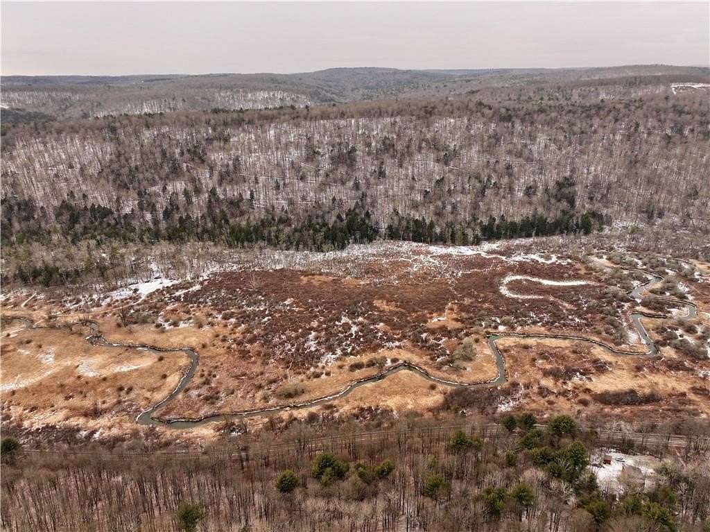 40.4 Acres of Recreational Land for Sale in Spencer, New York