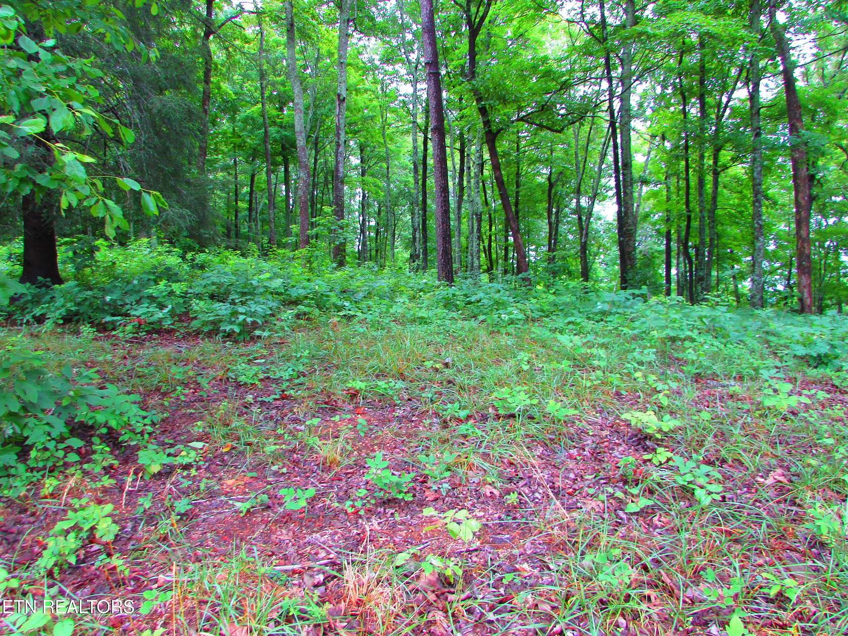 1 Acre of Land for Sale in Sharps Chapel, Tennessee