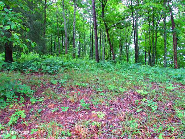 1 Acre of Land for Sale in Sharps Chapel, Tennessee