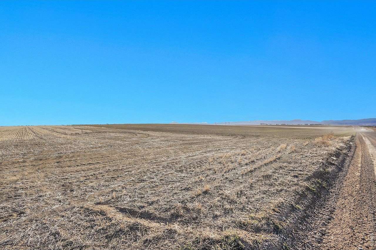 37 Acres of Land for Sale in Mead, Colorado