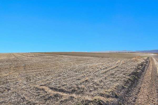 37 Acres of Land for Sale in Mead, Colorado