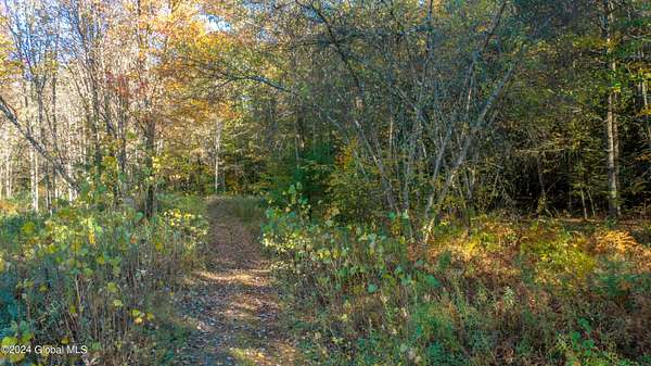 20.1 Acres of Agricultural Land for Sale in Gansevoort, New York