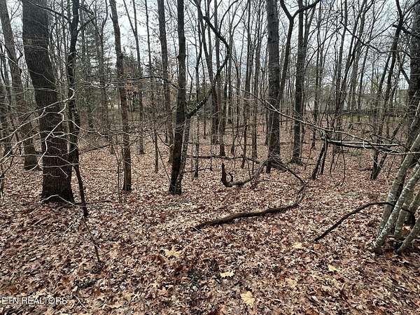0.24 Acres of Residential Land for Sale in Fairfield Glade, Tennessee