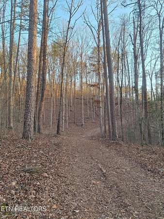 14.2 Acres of Land for Sale in Tellico Plains, Tennessee