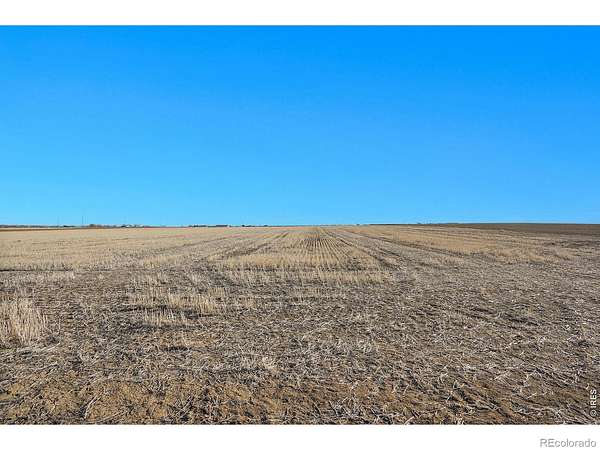 51 Acres of Land for Sale in Mead, Colorado