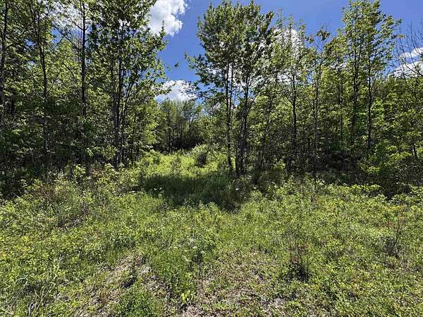4.5 Acres of Residential Land for Sale in Ellenburg Depot, New York
