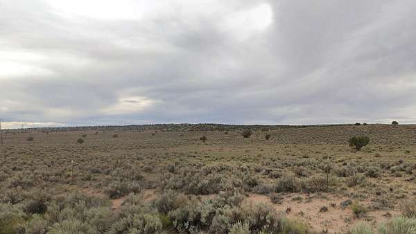 1 Acre of Residential Land for Sale in Chambers, Arizona