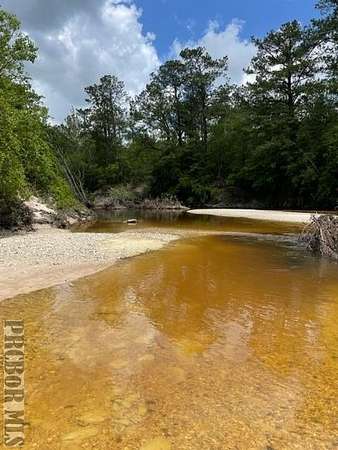 25 Acres of Land for Sale in Poplarville, Mississippi