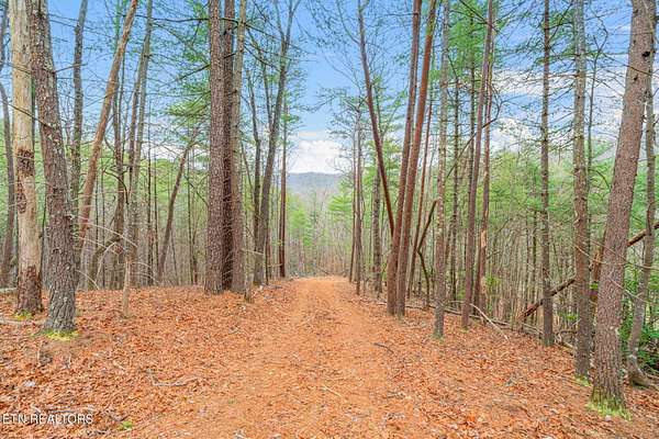 2.68 Acres of Land for Sale in Tellico Plains, Tennessee
