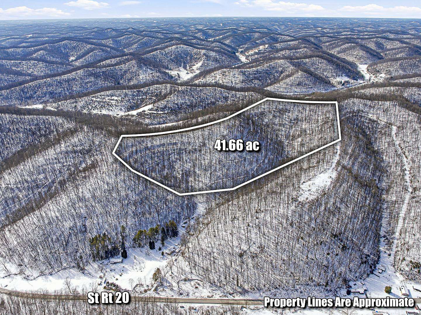 41.7 Acres of Recreational Land for Auction in Wallace, West Virginia