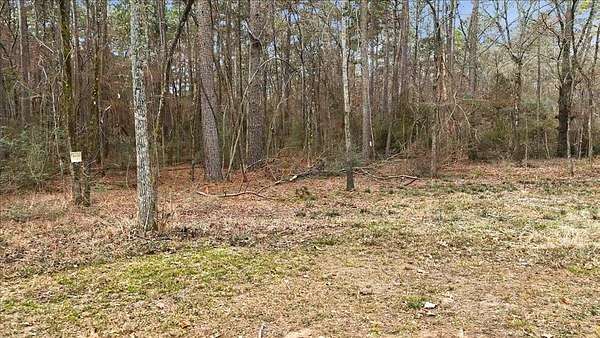 8.9 Acres of Land for Sale in Mount Enterprise, Texas