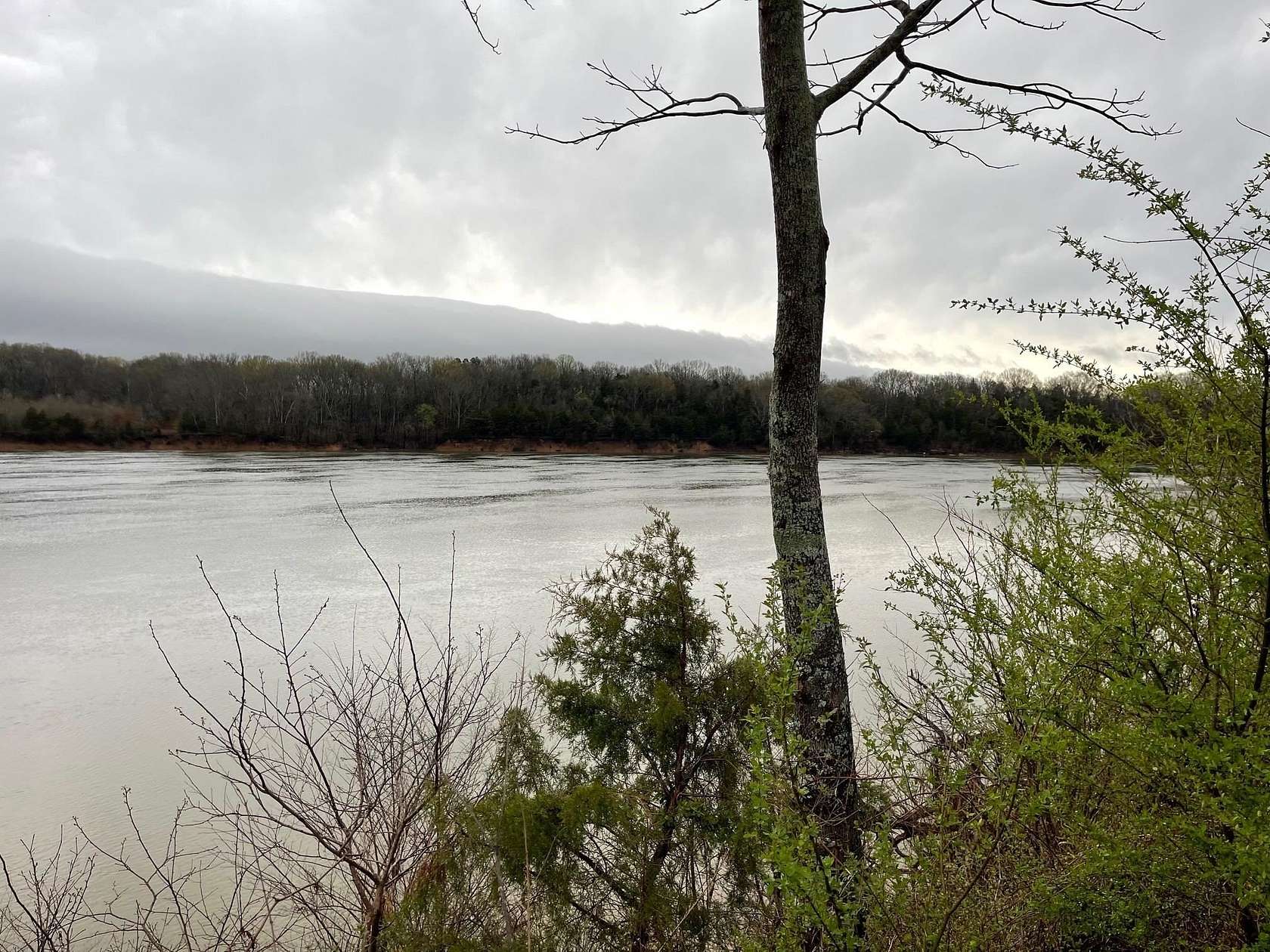 1 Acre of Residential Land for Sale in Savannah, Tennessee