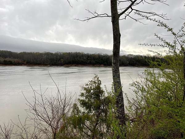 1 Acre of Residential Land for Sale in Savannah, Tennessee