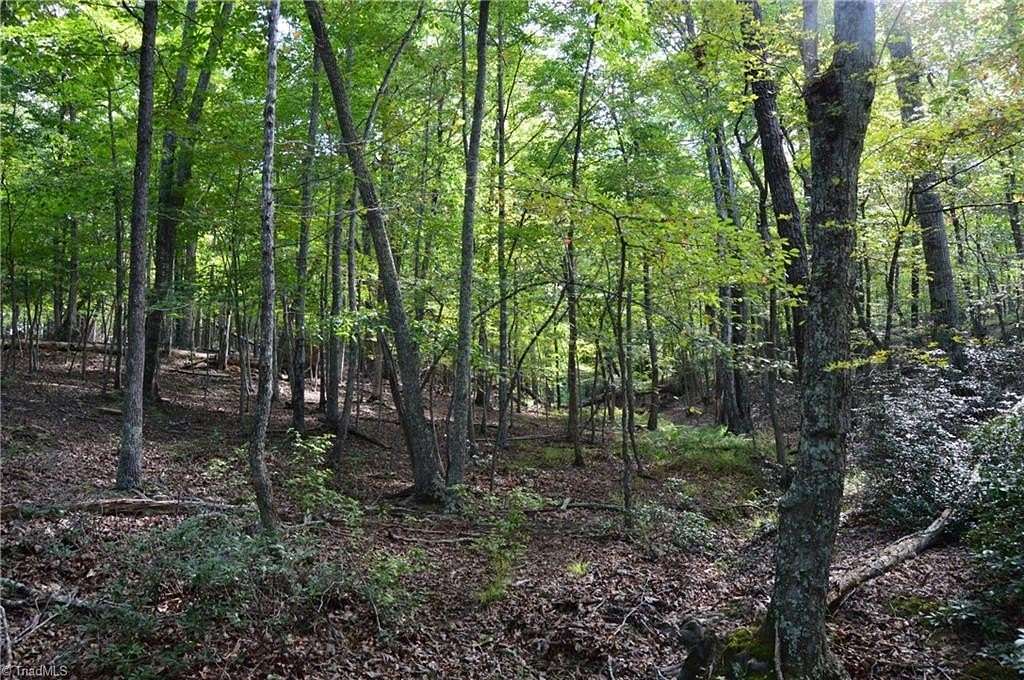 10.8 Acres of Land for Sale in Danbury, North Carolina