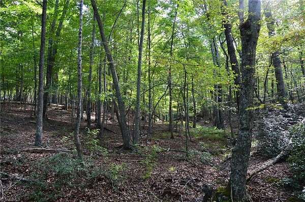 10.8 Acres of Land for Sale in Danbury, North Carolina