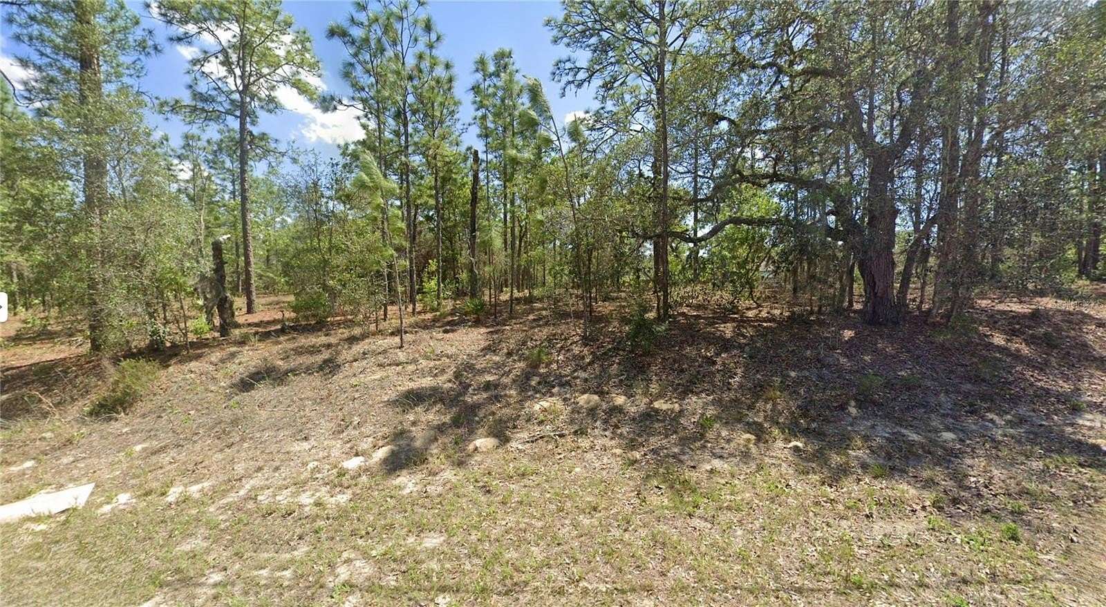 0.32 Acres of Residential Land for Sale in Citrus Springs, Florida
