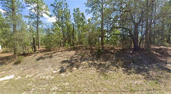 0.32 Acres of Residential Land for Sale in Citrus Springs, Florida