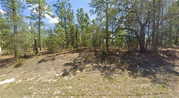 0.32 Acres of Residential Land for Sale in Citrus Springs, Florida