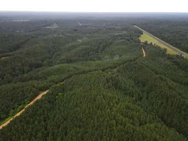 55 Acres of Recreational Land for Sale in Crosby, Mississippi