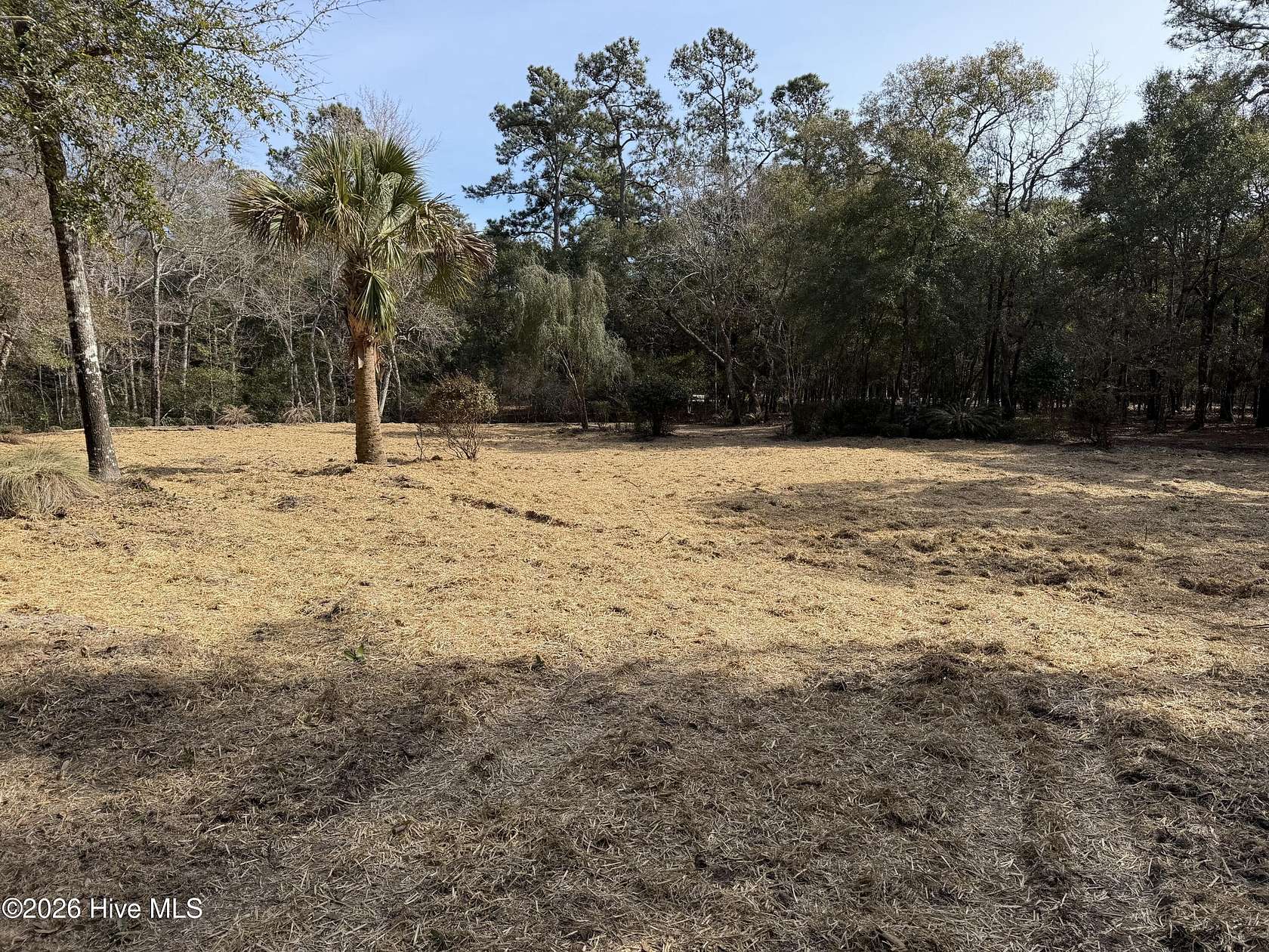 1.25 Acres of Residential Land for Sale in Supply, North Carolina