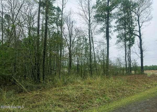 0.36 Acres of Residential Land for Sale in Hertford, North Carolina
