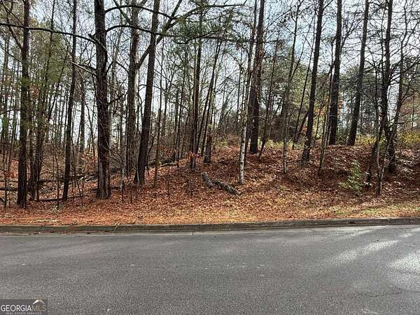 0.56 Acres of Land for Sale in Gainesville, Georgia