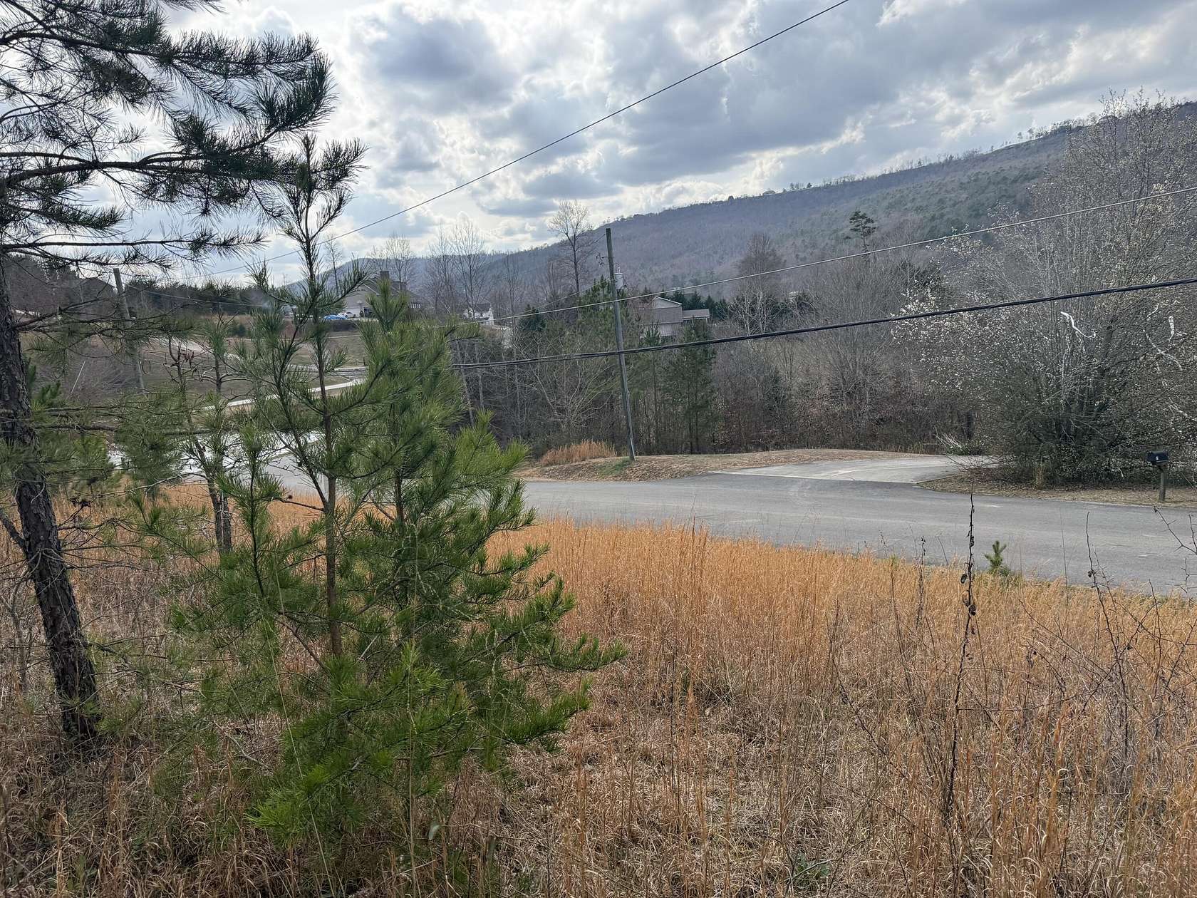 3.32 Acres of Residential Land for Sale in Trenton, Georgia